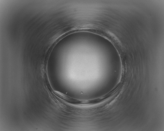 X0000073511457200608071043