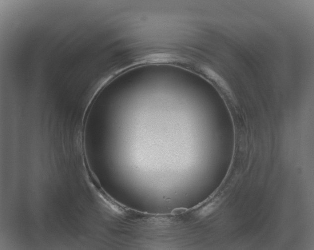 X0000073511473200608071043