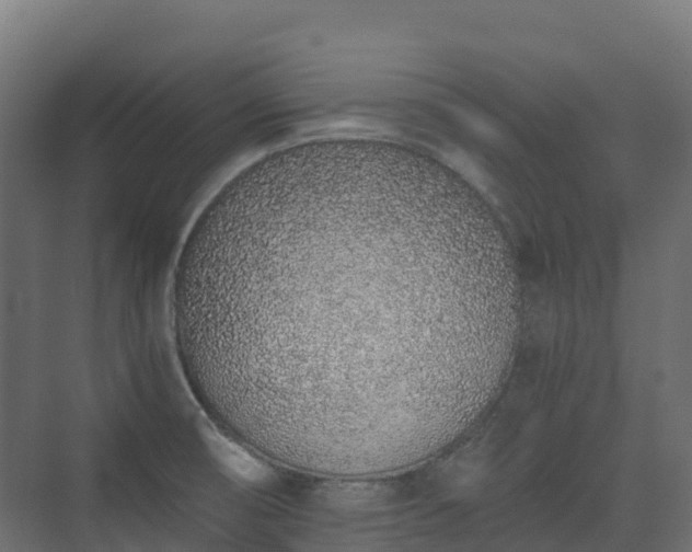 X0000073511474200608071043