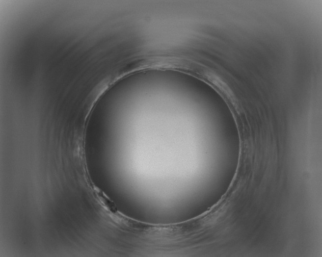 X0000073511481200608071043