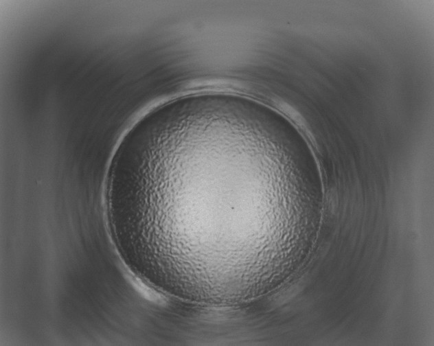 X0000073511482200608071042