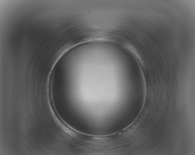 X0000073511483200608071042