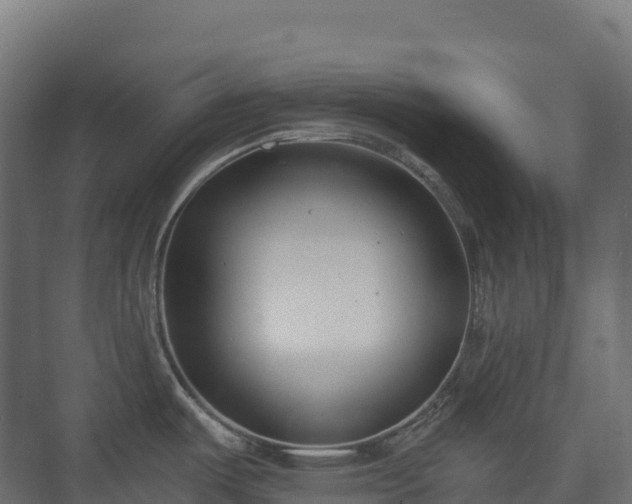 X0000073511487200608071042