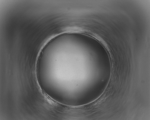 X0000073511488200608071042