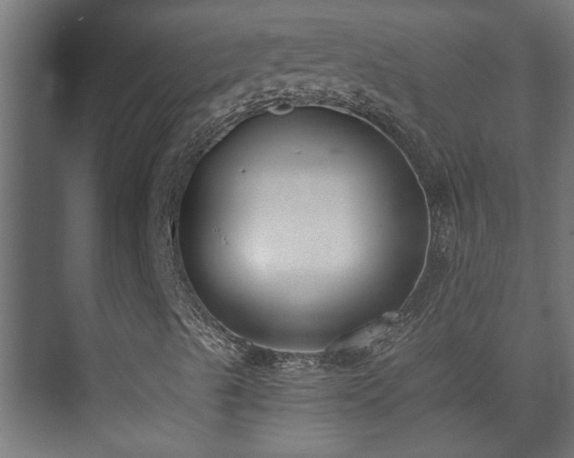 X0000073511489200608071042