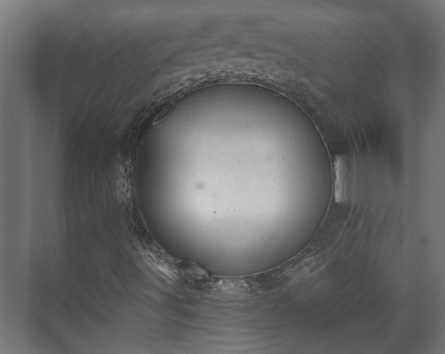 X0000073511491200608071042
