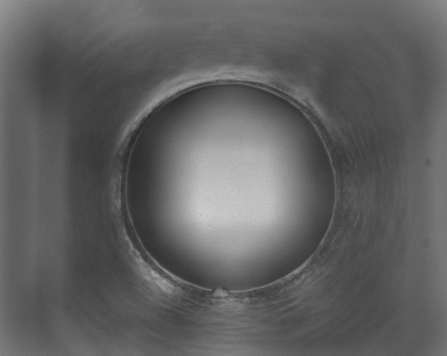 X0000073511504200608071042