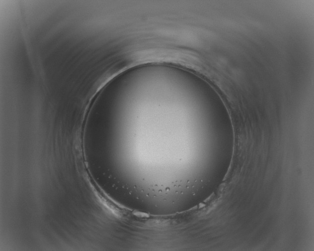 X0000073511521200608071042