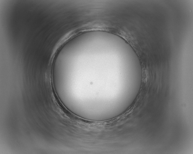 X0000073510004200608140946