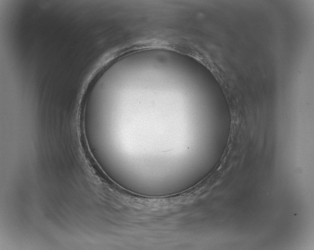 X0000073510006200608140946