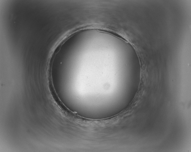 X0000073510007200608140946