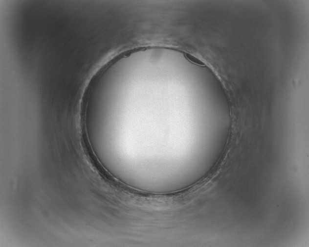 X0000073510008200608140946