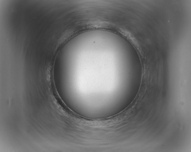 X0000073510010200608140946
