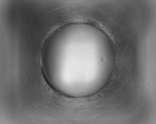 X0000073510011200608140946
