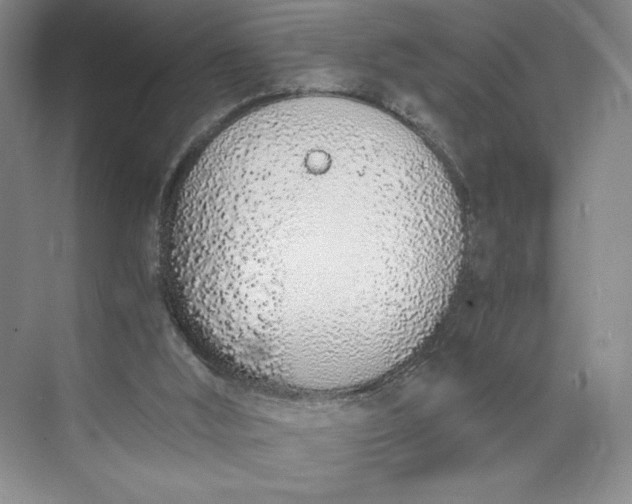 X0000073510012200608140946