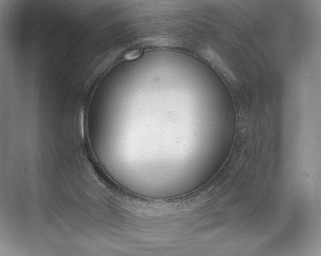 X0000073510014200608140946