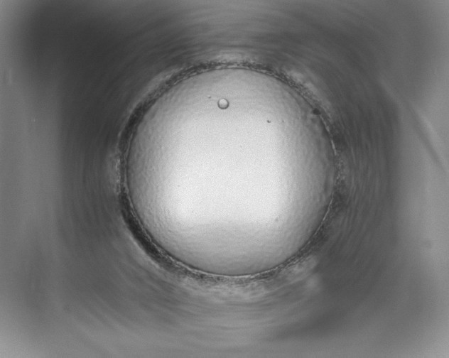 X0000073510016200608140946