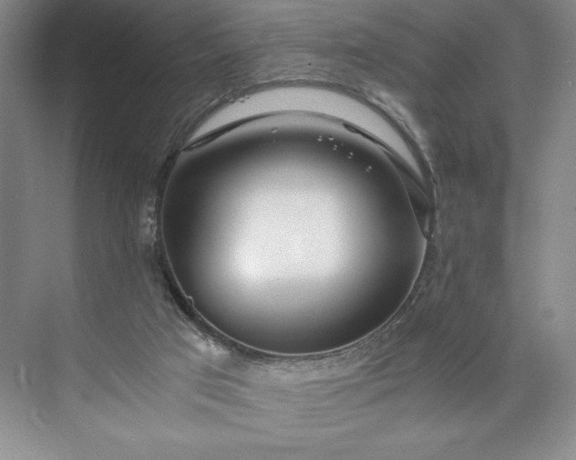 X0000073510017200608140946