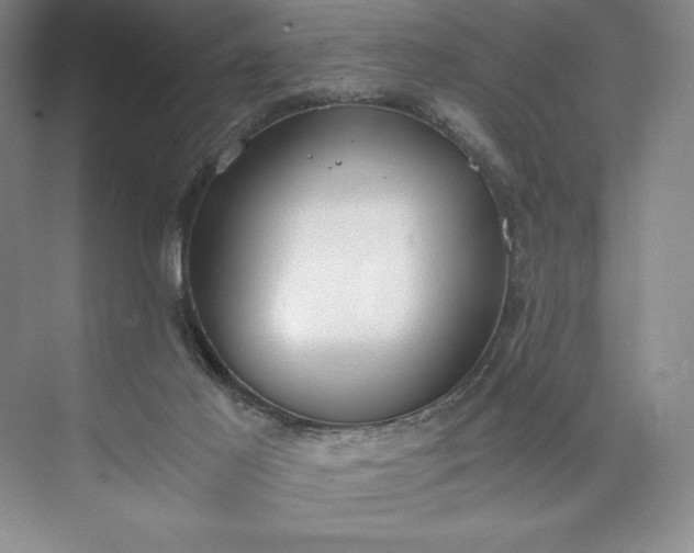 X0000073510021200608140946