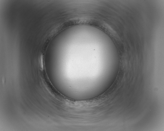X0000073510022200608140946
