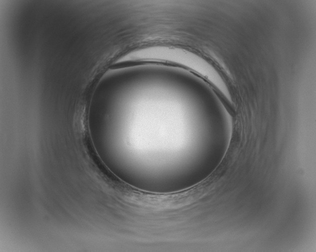 X0000073510023200608140946