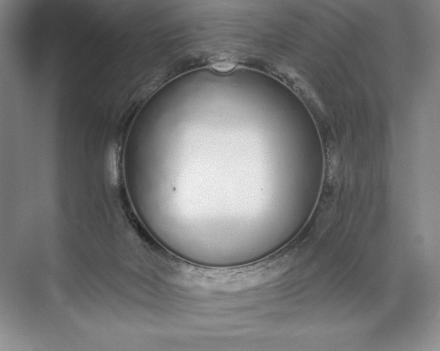X0000073510026200608140946