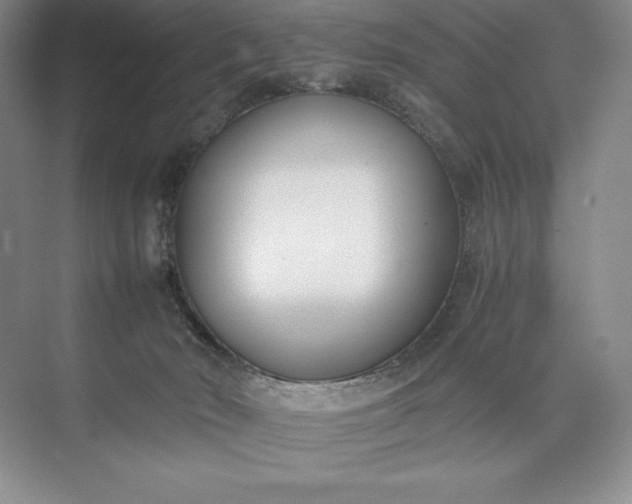 X0000073510030200608140946