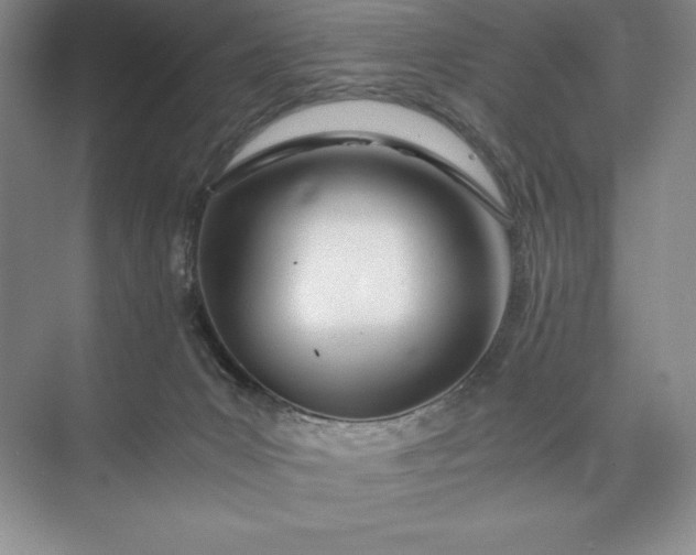 X0000073510031200608140946