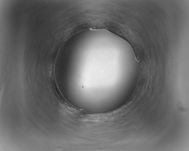 X0000073510033200608140946