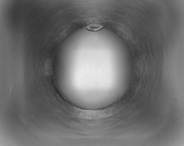 X0000073510034200608140946