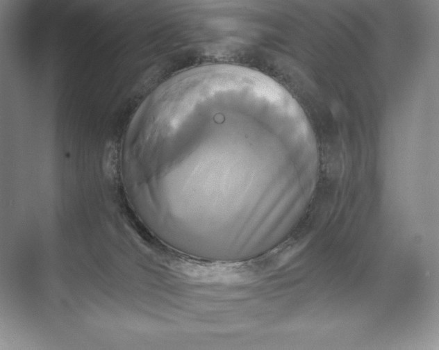 X0000073510036200608140946