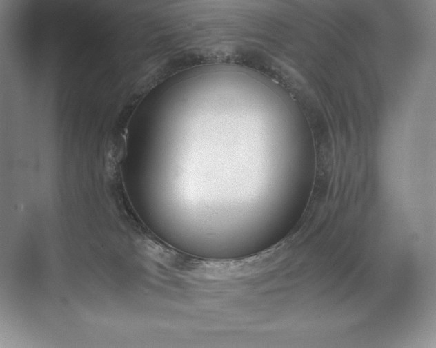 X0000073510037200608140946