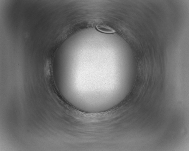 X0000073510038200608140946