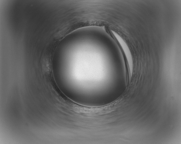 X0000073510039200608140946