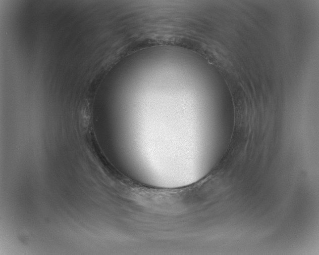 X0000073510040200608140945