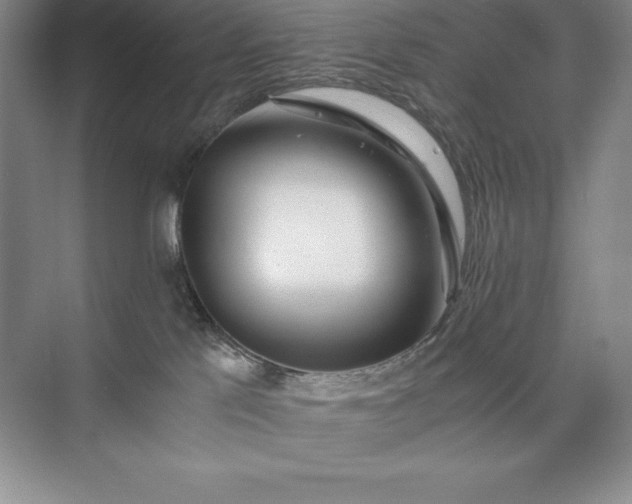 X0000073510041200608140945