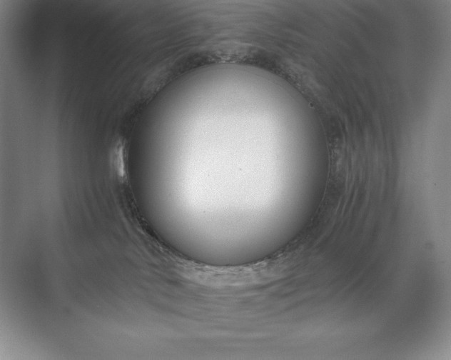 X0000073510042200608140945