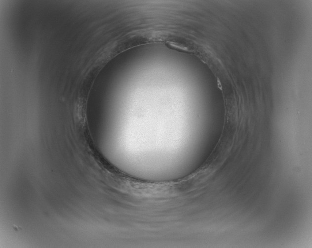 X0000073510044200608140945