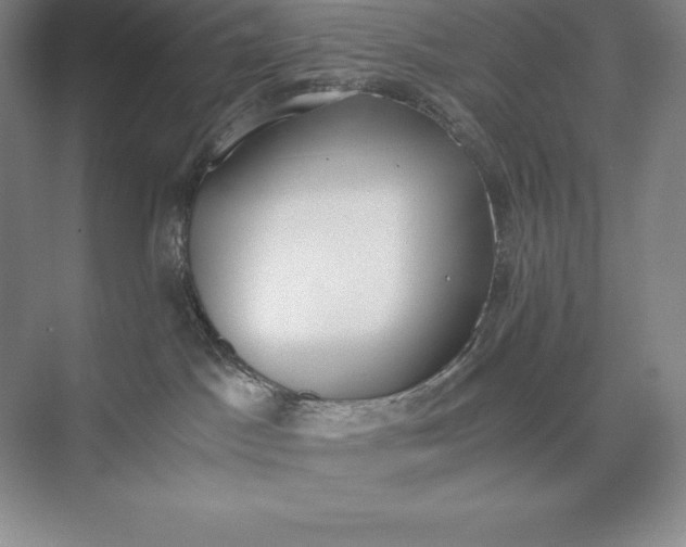 X0000073510045200608140945