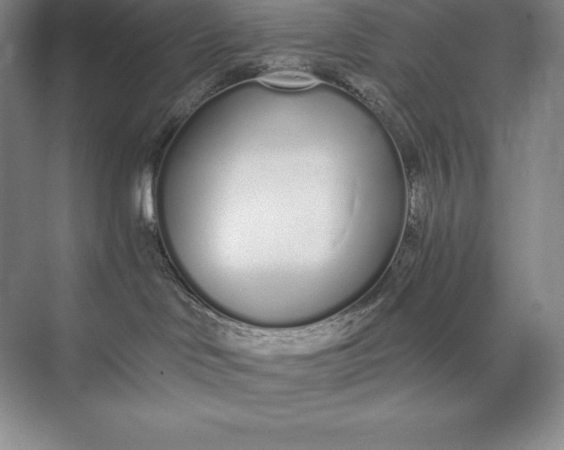 X0000073510046200608140945