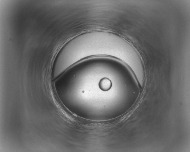 X0000073510049200608140945