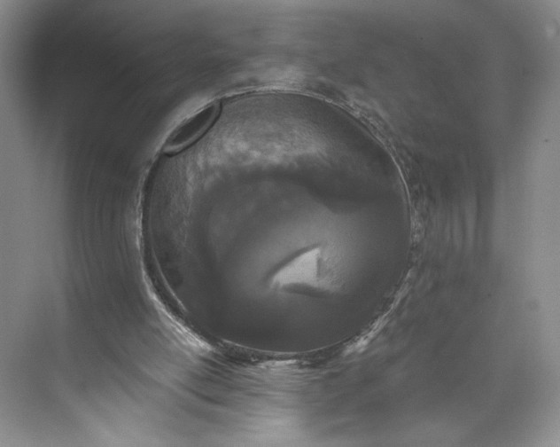 X0000073510054200608140945