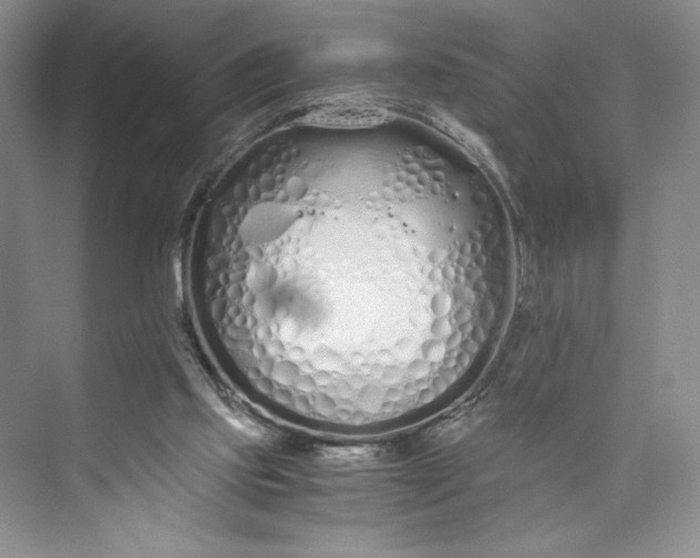 X0000073510061200608140945