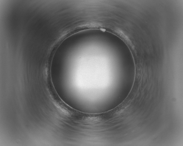 X0000073510063200608140945