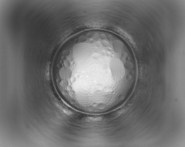 X0000073510065200608140945