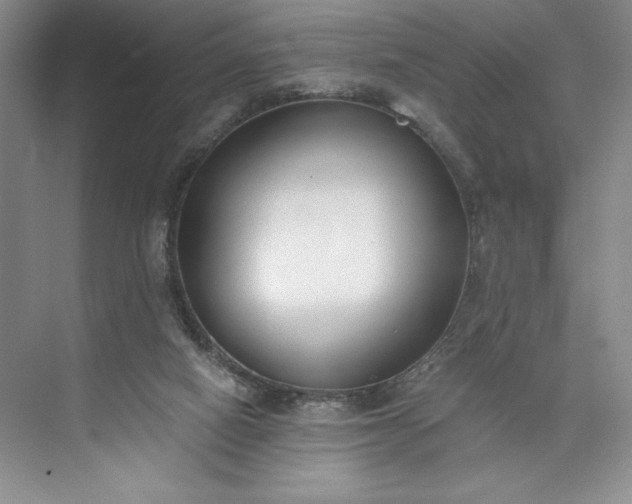 X0000073510066200608140945