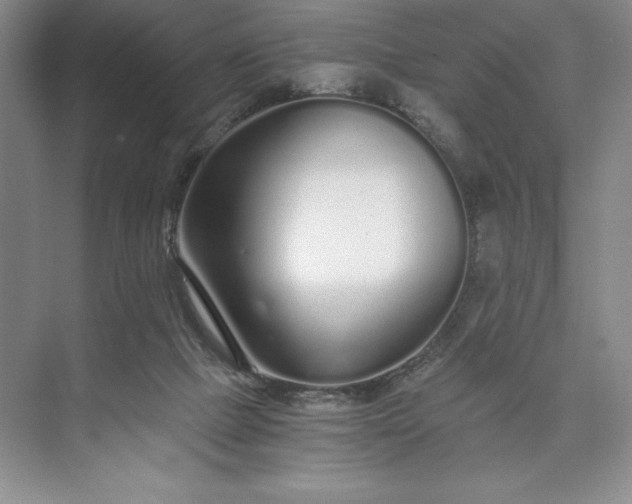 X0000073510073200608140945