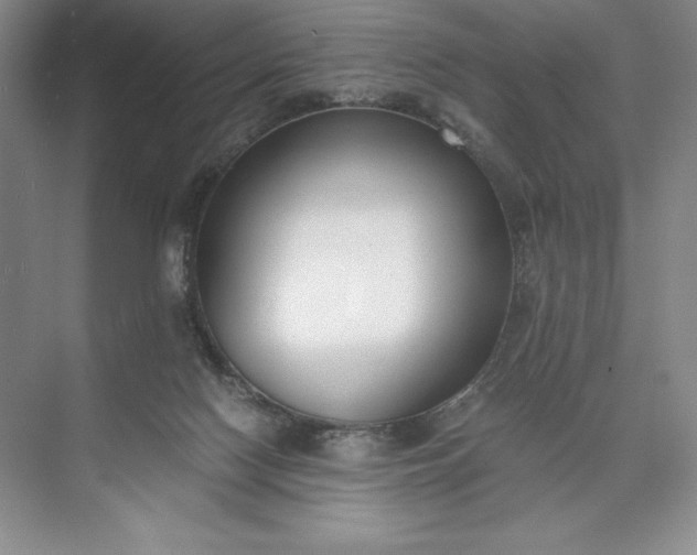 X0000073510074200608140945