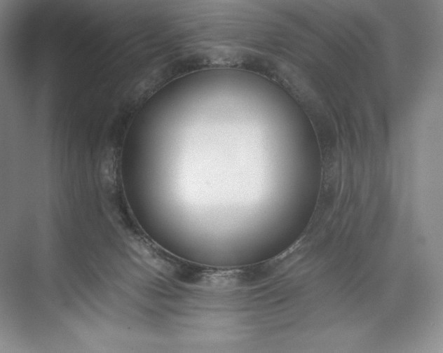 X0000073510078200608140945