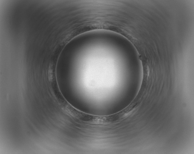 X0000073510080200608140945